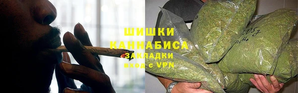 мяу мяу мука Горно-Алтайск