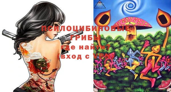мяу мяу мука Горно-Алтайск