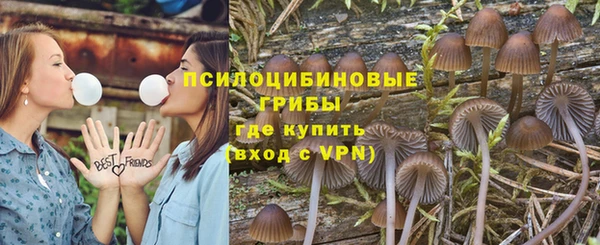 ГАЛЛЮЦИНОГЕННЫЕ ГРИБЫ Горнозаводск