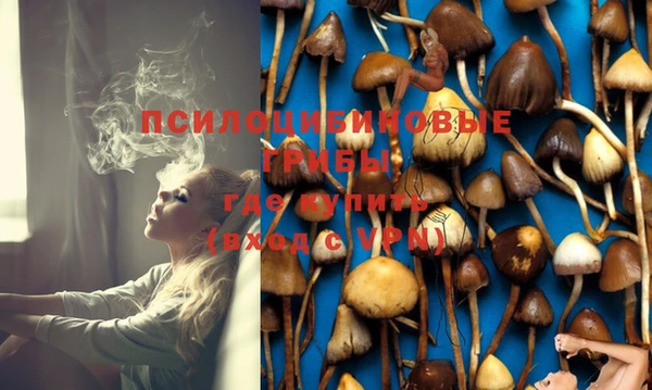 мяу мяу мука Горно-Алтайск