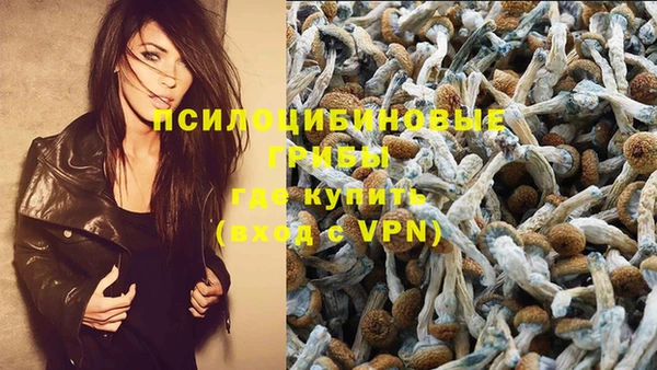 героин Горняк