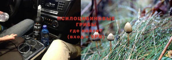 ГАЛЛЮЦИНОГЕННЫЕ ГРИБЫ Горнозаводск