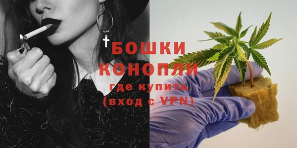 мяу мяу мука Горно-Алтайск