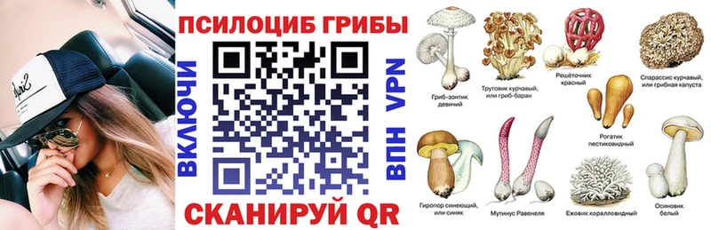 купить   Дивногорск  Псилоцибиновые грибы мухоморы 